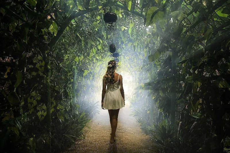 Otel Xolumado Inspiration Village By Karisma Playa Paraiso